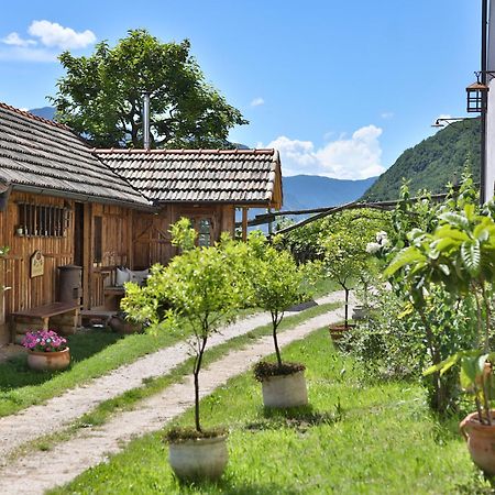Baron Di Pauli Apartment Caldaro Bagian luar foto