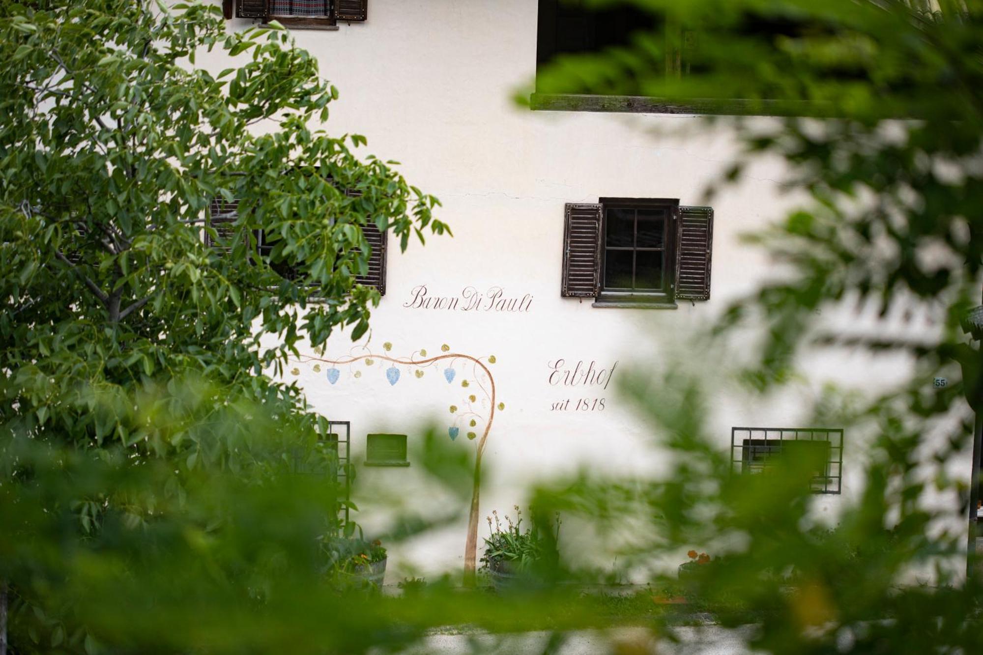 Baron Di Pauli Apartment Caldaro Bagian luar foto