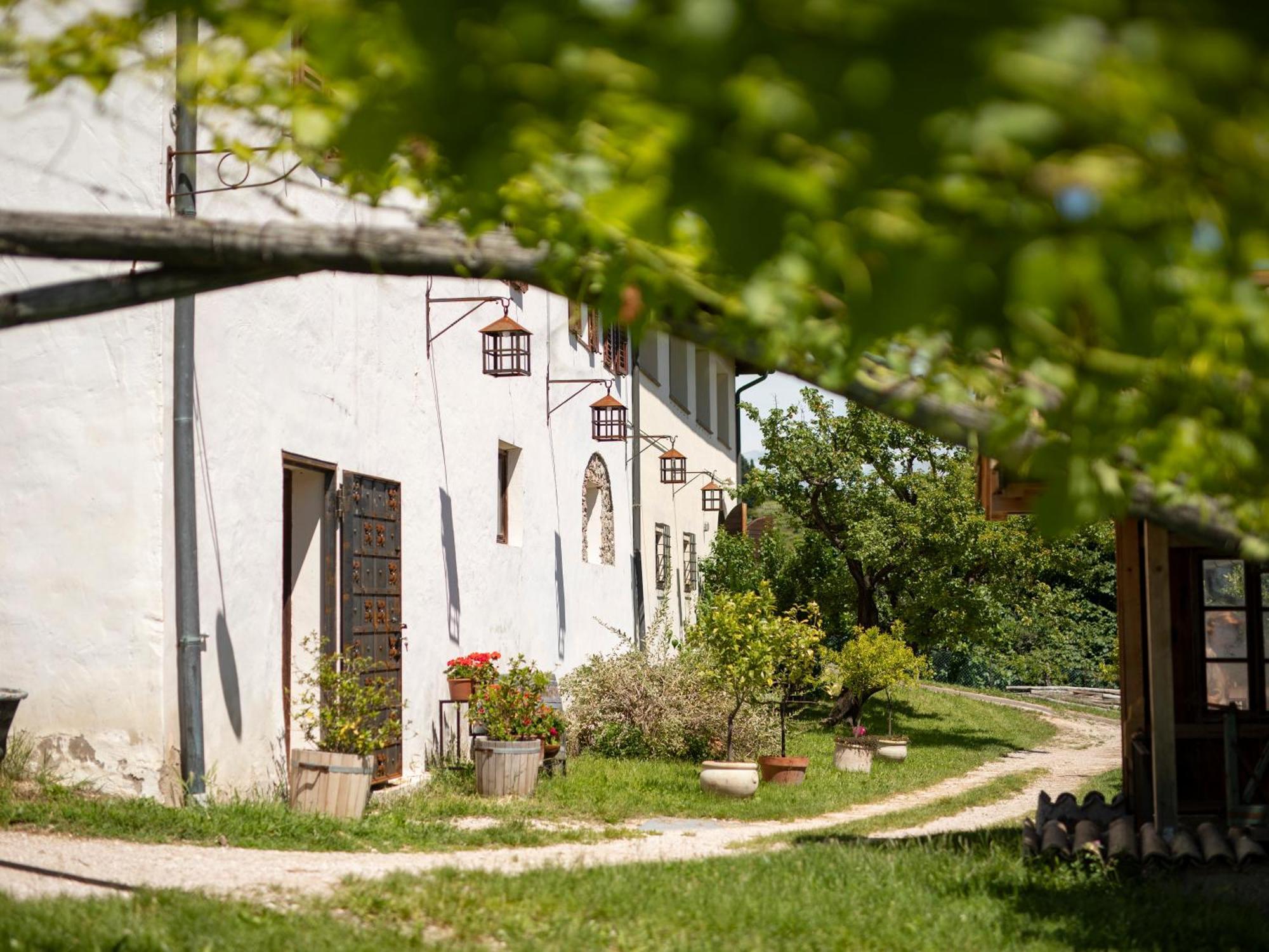 Baron Di Pauli Apartment Caldaro Bagian luar foto