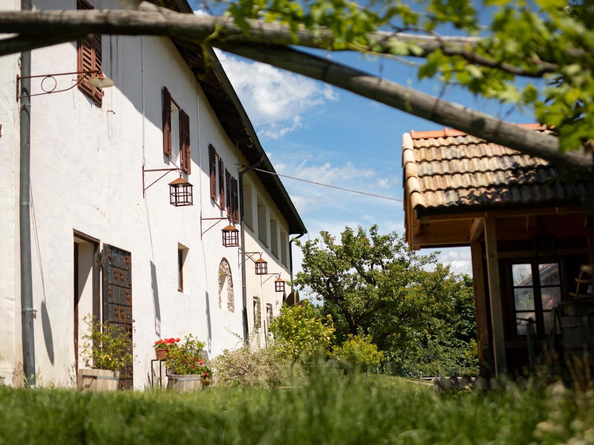Baron Di Pauli Apartment Caldaro Bagian luar foto