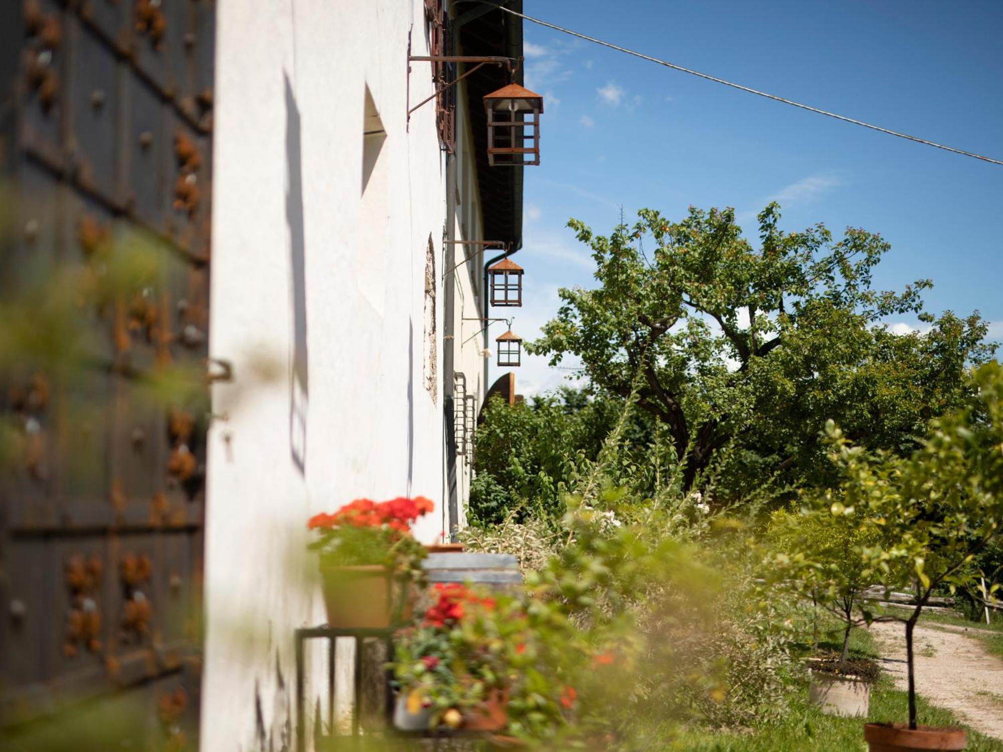 Baron Di Pauli Apartment Caldaro Bagian luar foto